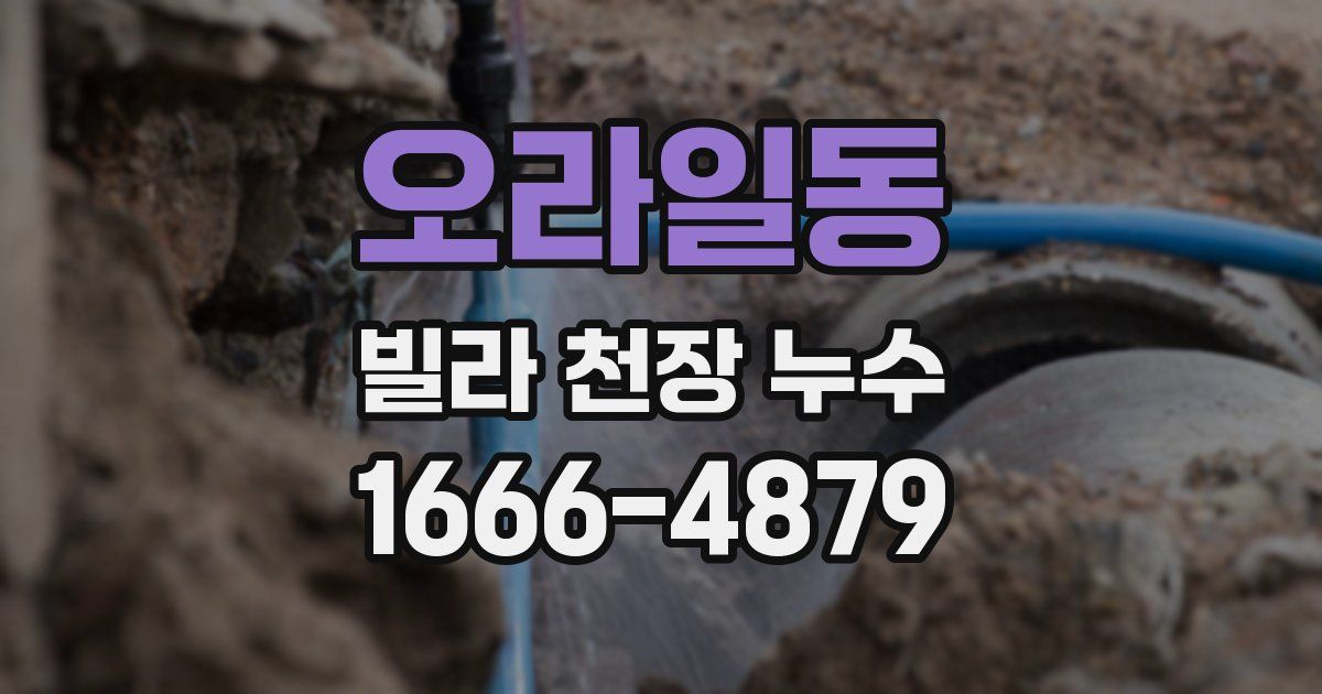 오라일동 빌라 천장 누수