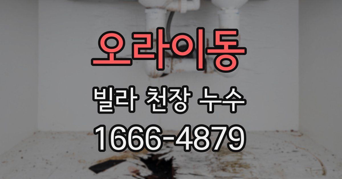 오라이동 빌라 천장 누수
