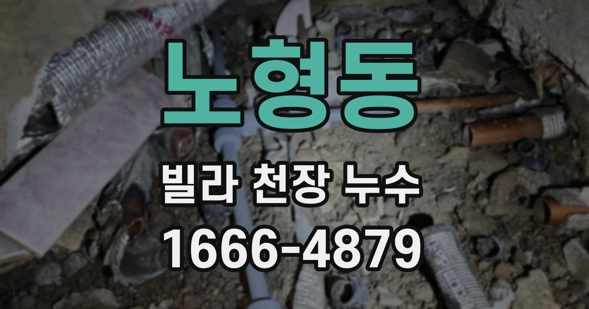 노형동 빌라 천장 누수