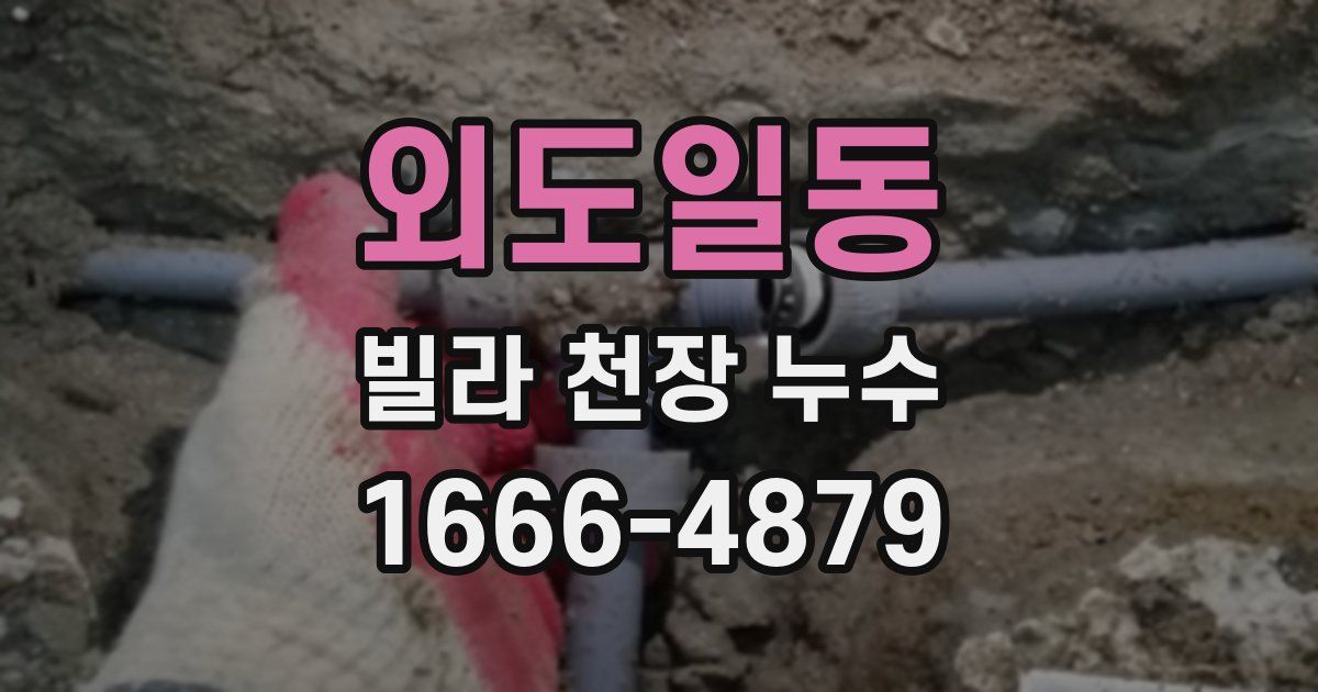 외도일동 빌라 천장 누수