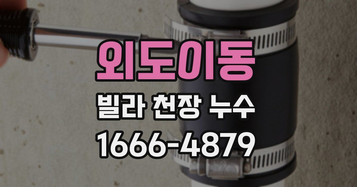 외도이동 빌라 천장 누수