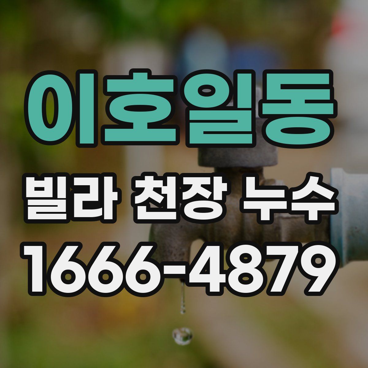 이호일동 빌라 천장 누수