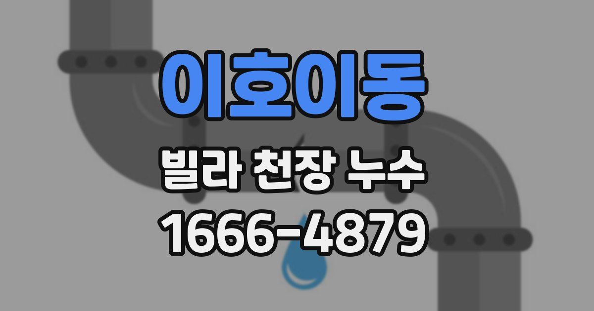 이호이동 빌라 천장 누수