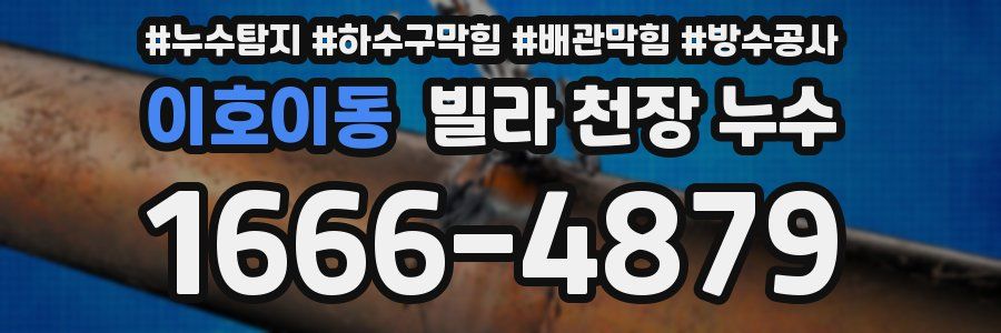 이호이동 빌라 천장 누수