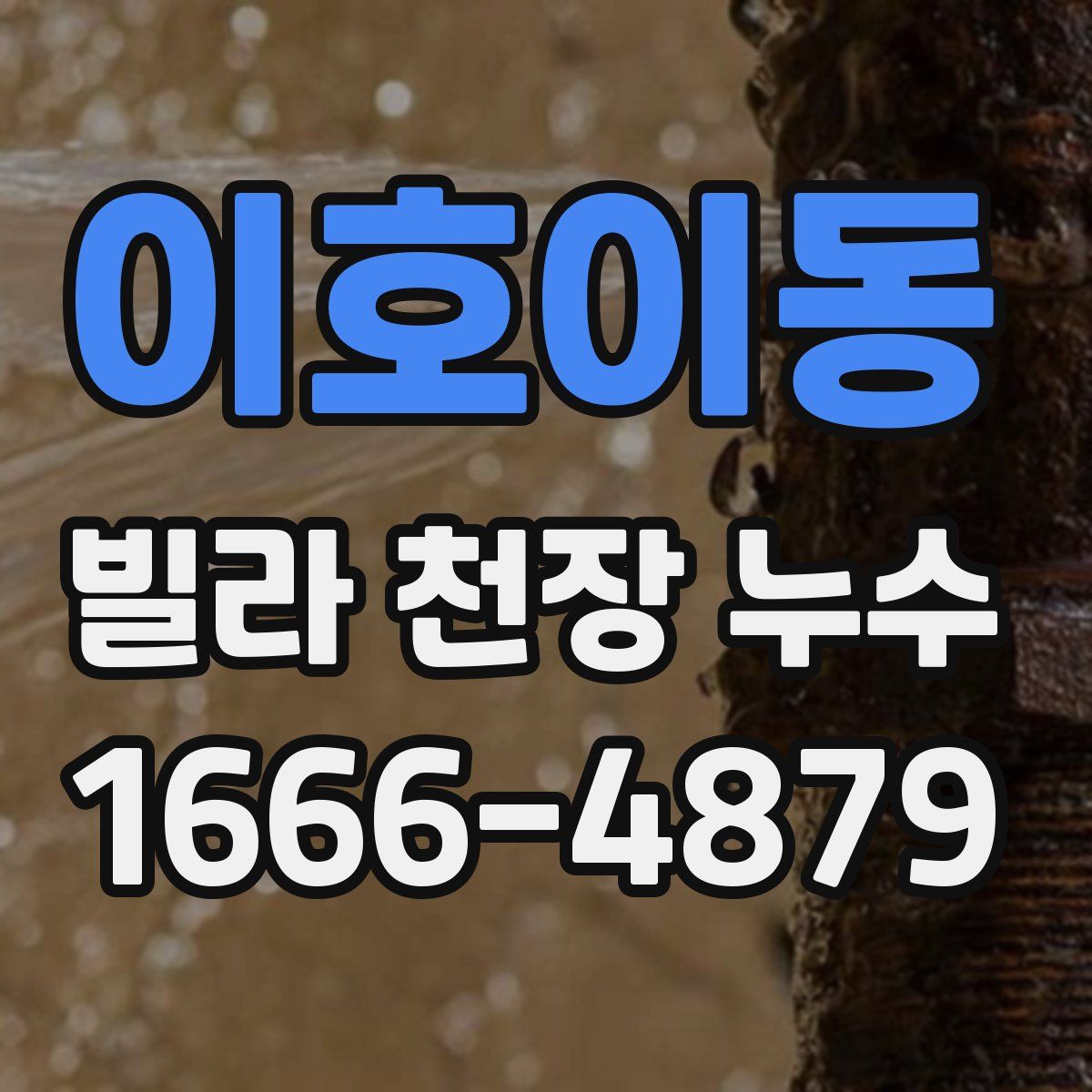 이호이동 빌라 천장 누수