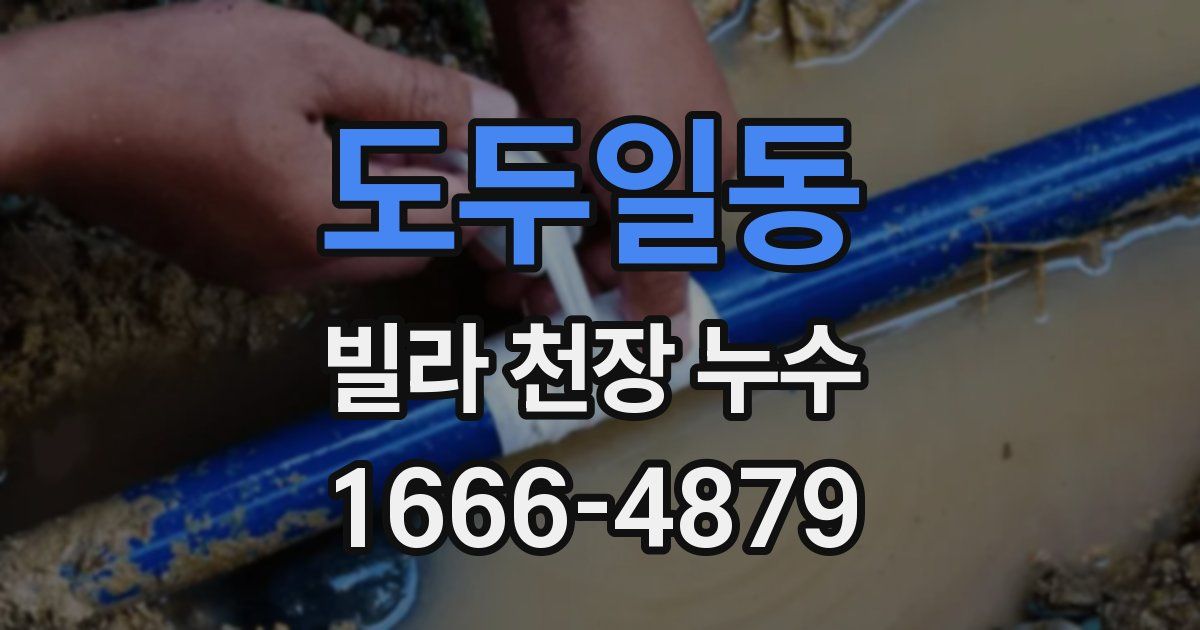 도두일동 빌라 천장 누수