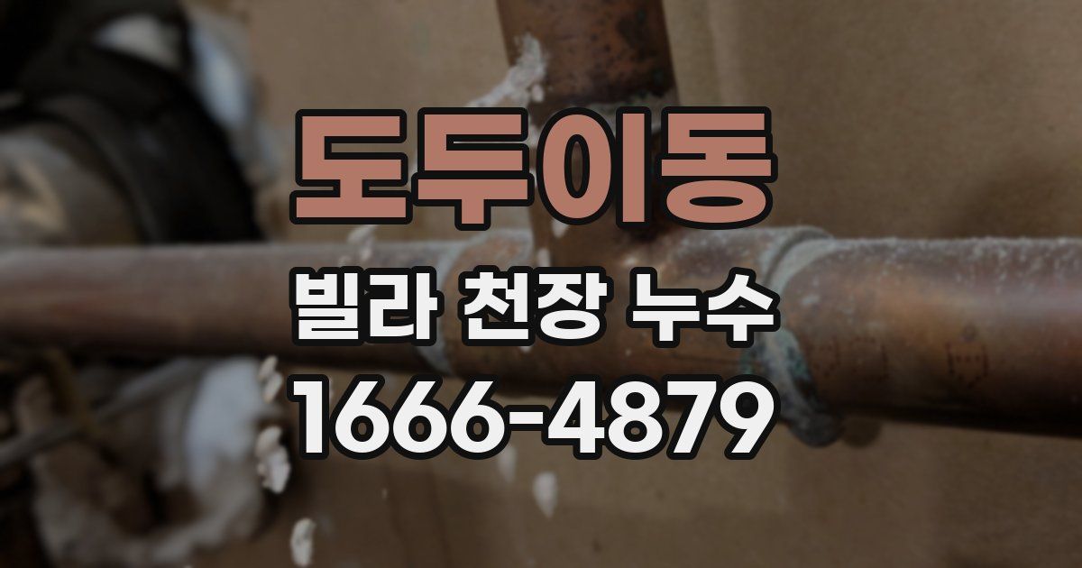 도두이동 빌라 천장 누수