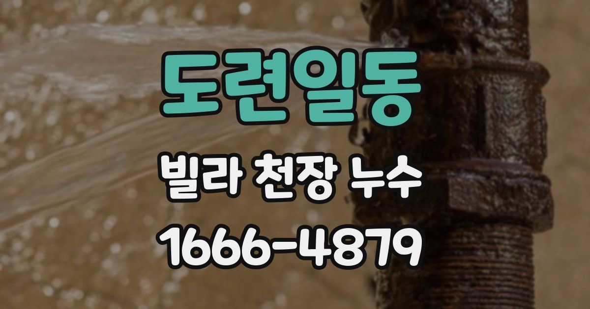 도련일동 빌라 천장 누수