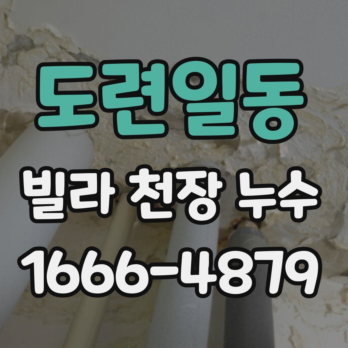 도련일동 빌라 천장 누수