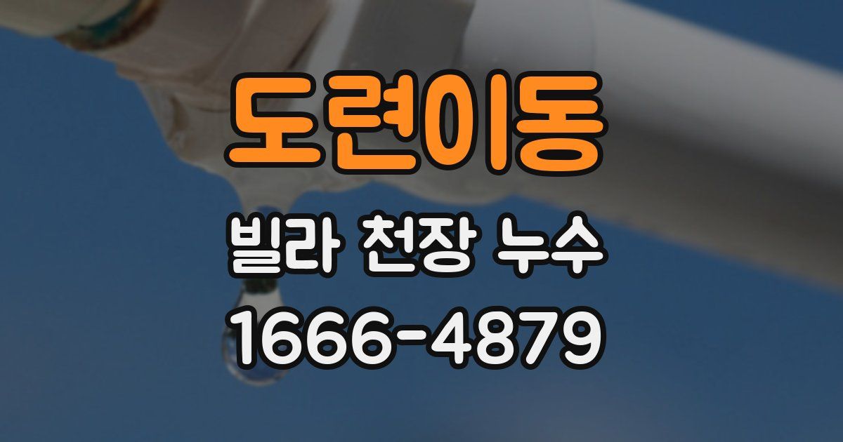 도련이동 빌라 천장 누수