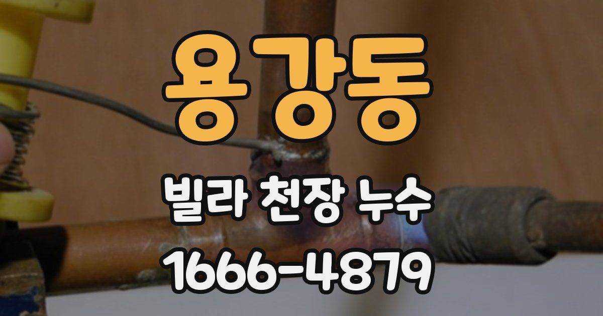 용강동 빌라 천장 누수