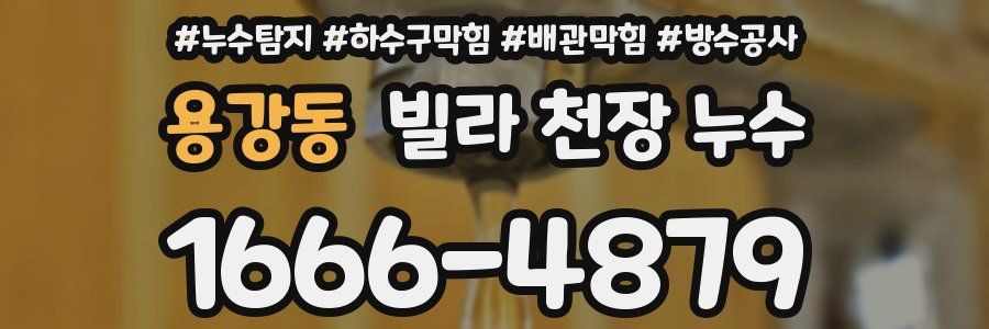 용강동 빌라 천장 누수