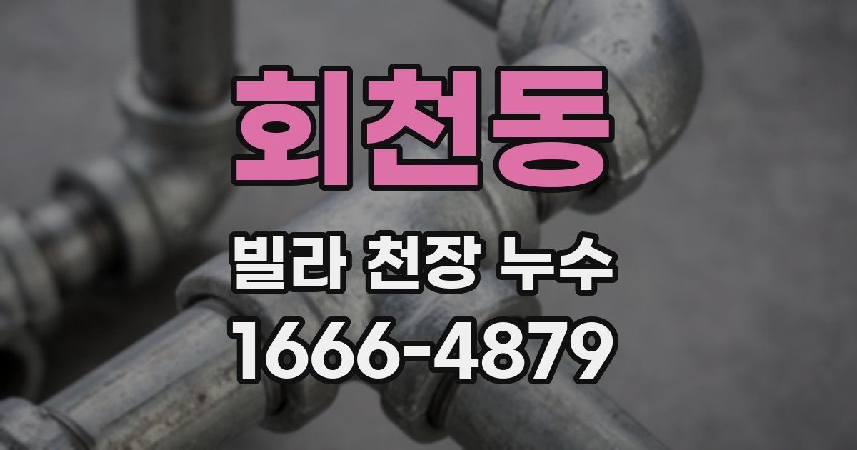 회천동 빌라 천장 누수