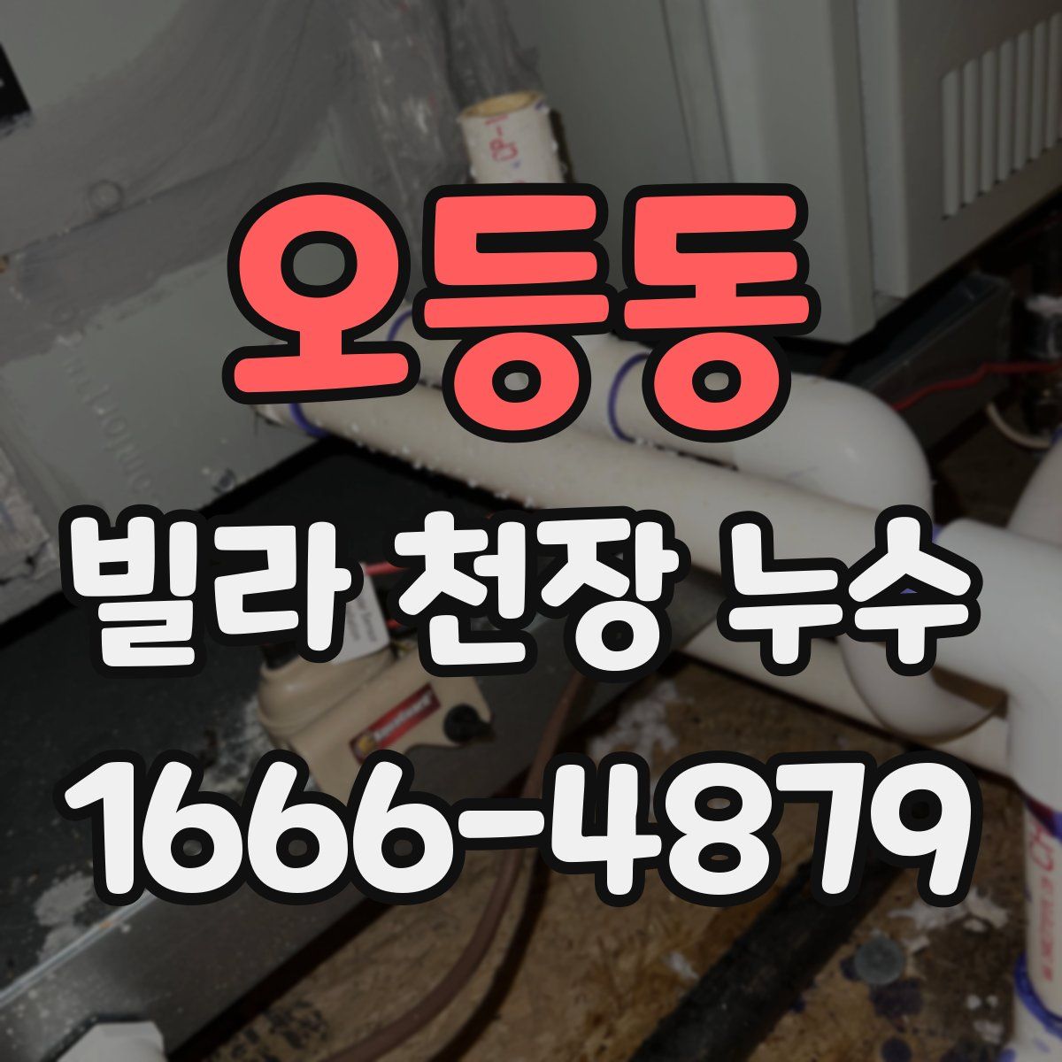 오등동 빌라 천장 누수