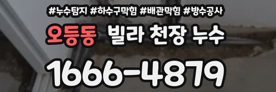 오등동 빌라 천장 누수