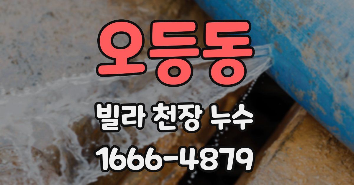 오등동 빌라 천장 누수