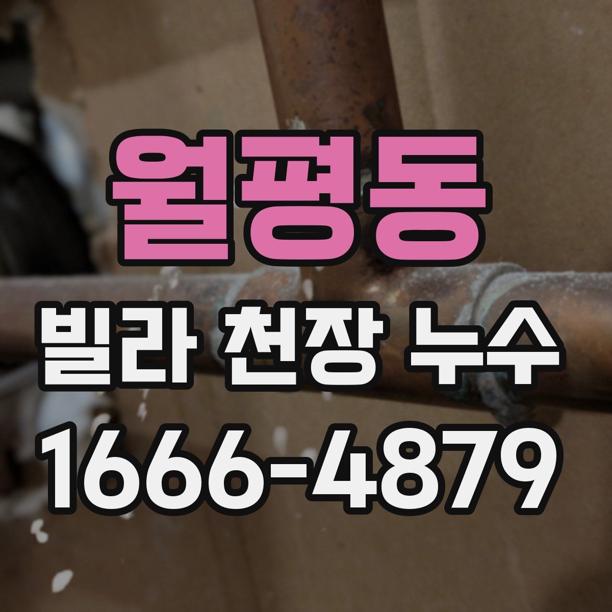 월평동 빌라 천장 누수