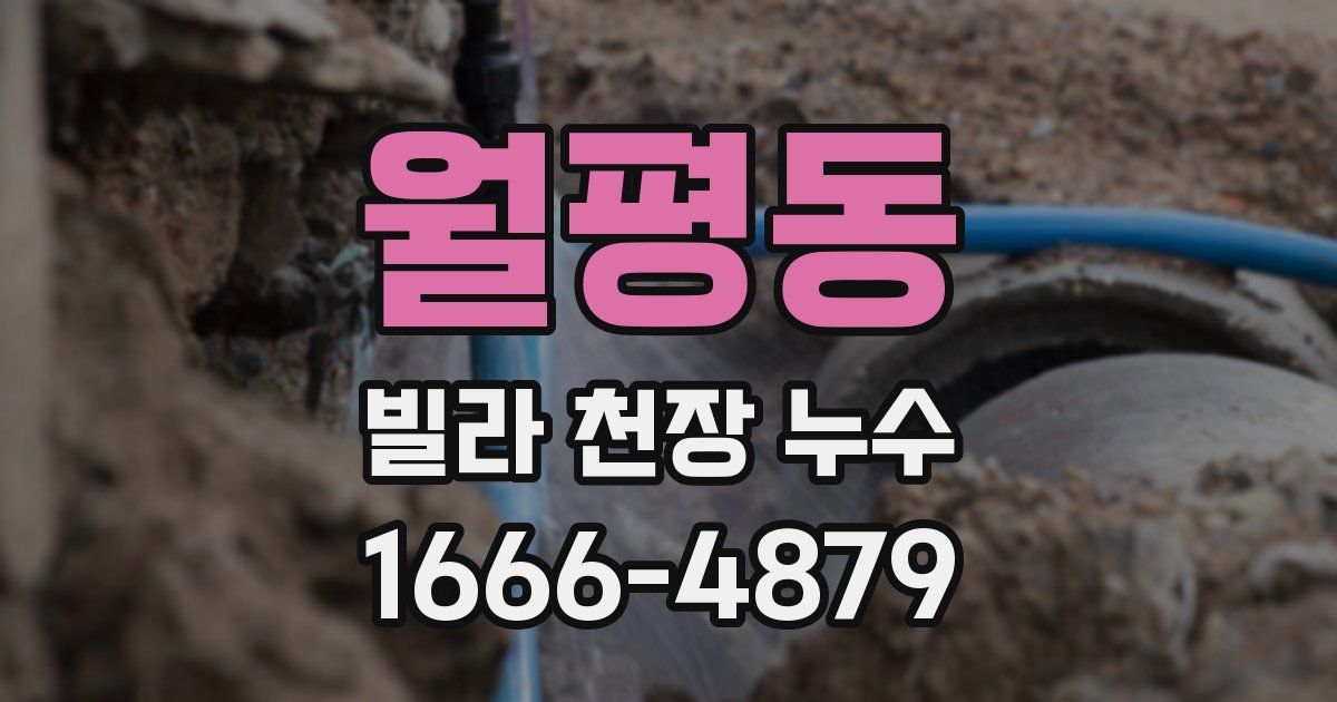 월평동 빌라 천장 누수