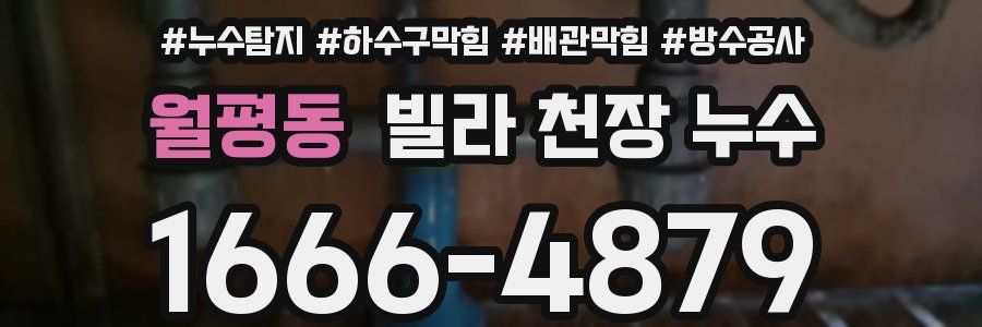 월평동 빌라 천장 누수