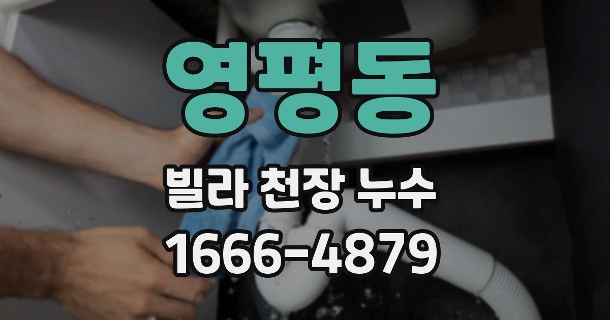 영평동 빌라 천장 누수