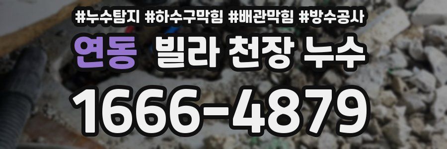 연동 빌라 천장 누수
