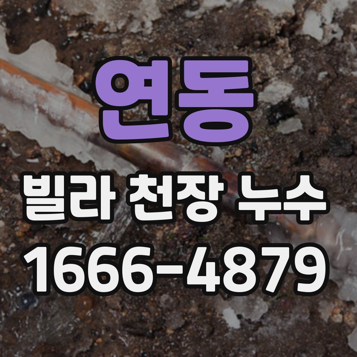 연동 빌라 천장 누수