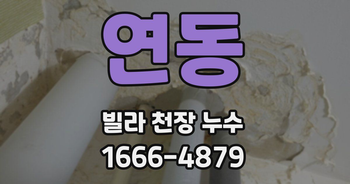 연동 빌라 천장 누수