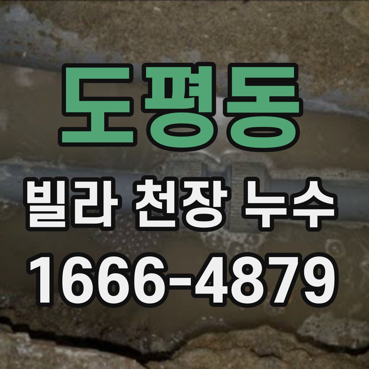 도평동 빌라 천장 누수