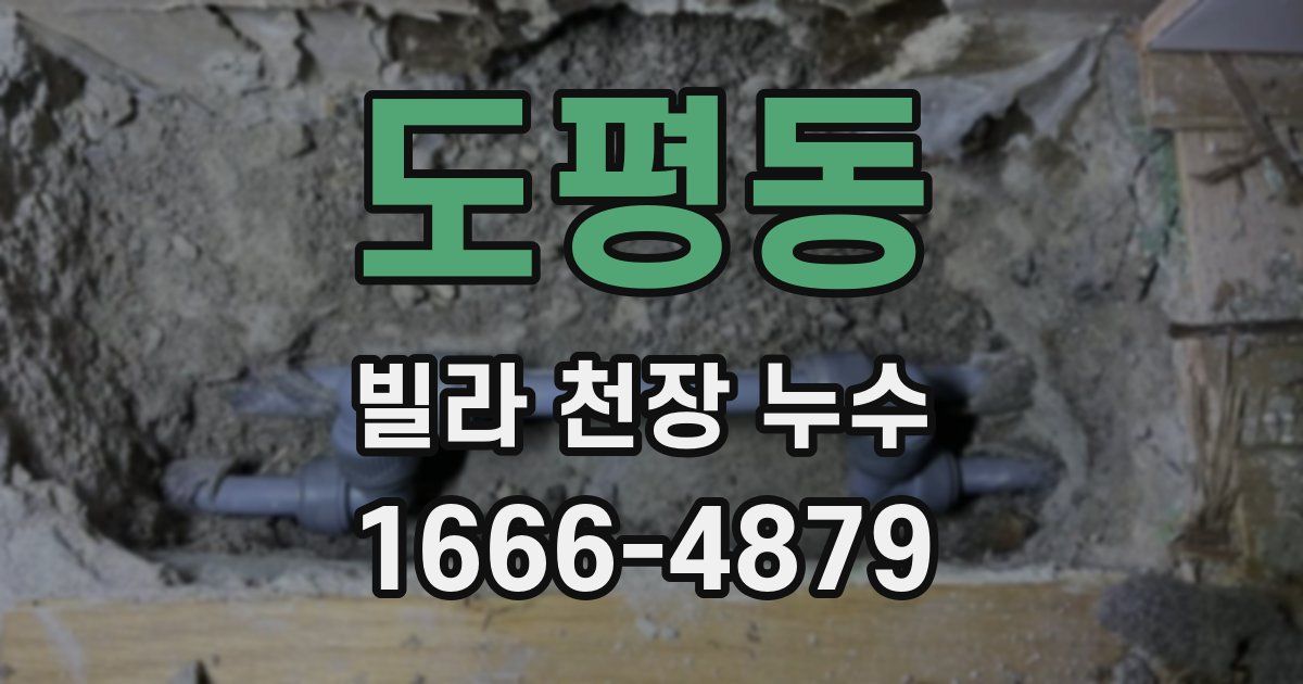 도평동 빌라 천장 누수