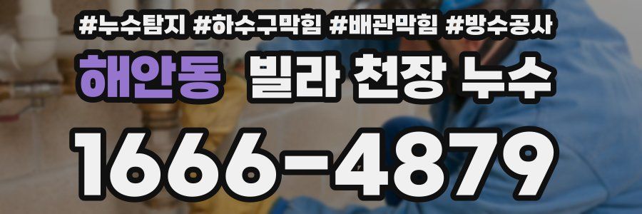 해안동 빌라 천장 누수