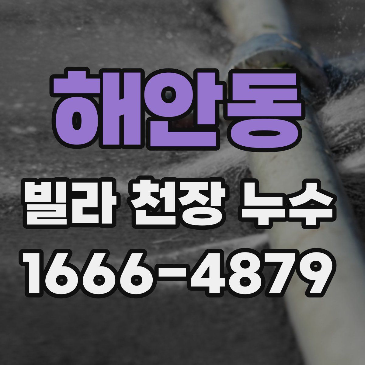 해안동 빌라 천장 누수