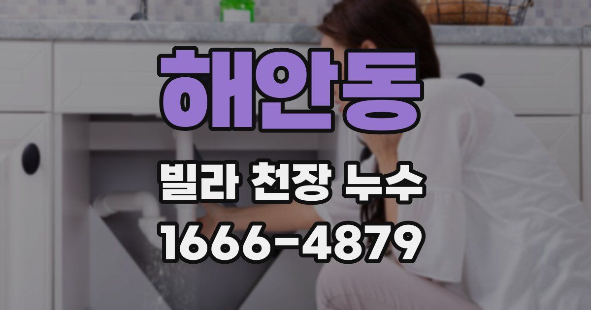해안동 빌라 천장 누수