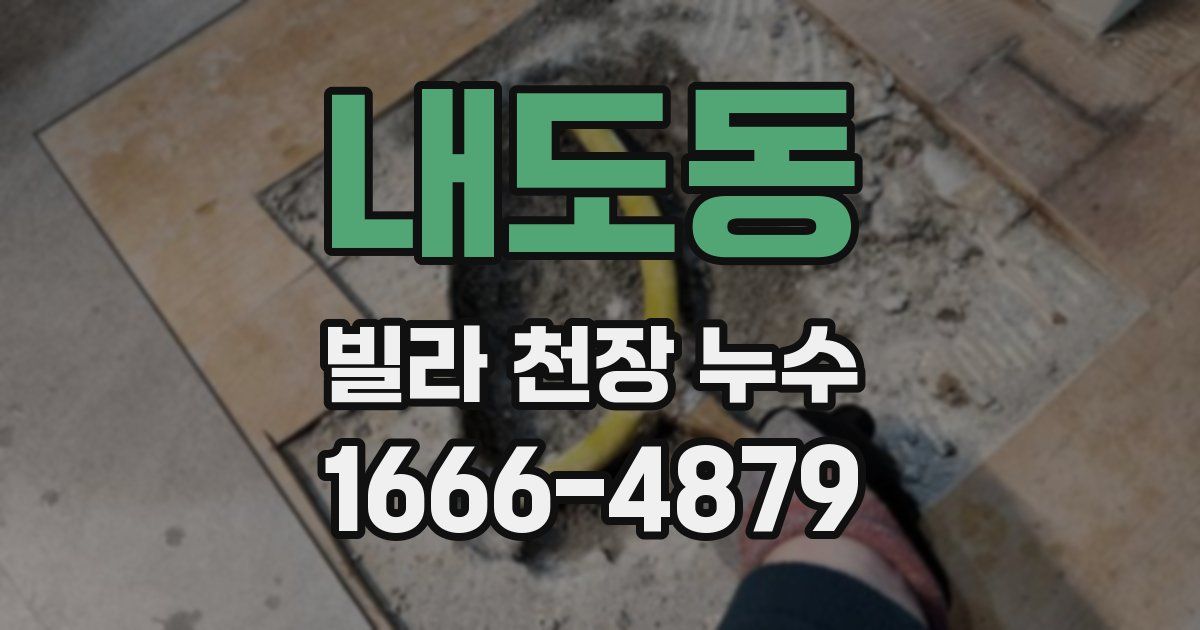 내도동 빌라 천장 누수