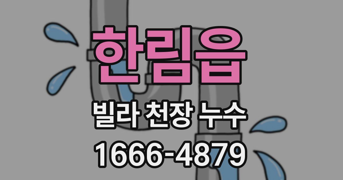 한림읍 빌라 천장 누수