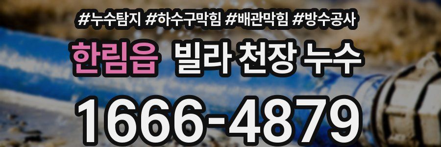 한림읍 빌라 천장 누수