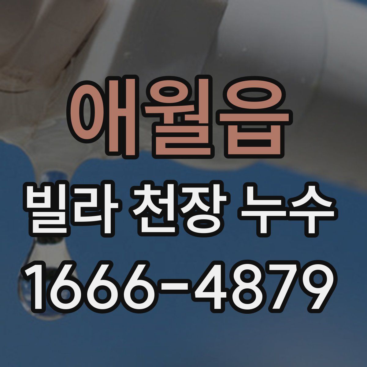 애월읍 빌라 천장 누수
