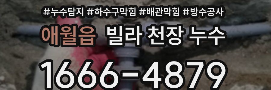애월읍 빌라 천장 누수