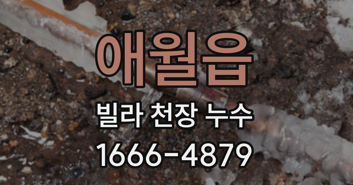 애월읍 빌라 천장 누수