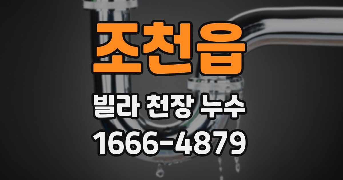 조천읍 빌라 천장 누수