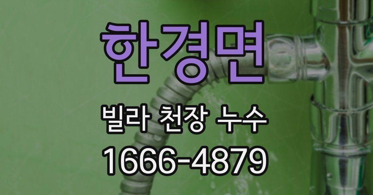 한경면 빌라 천장 누수