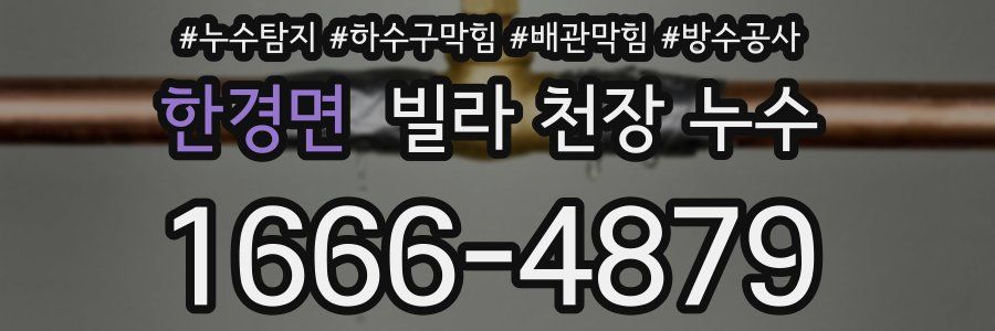 한경면 빌라 천장 누수