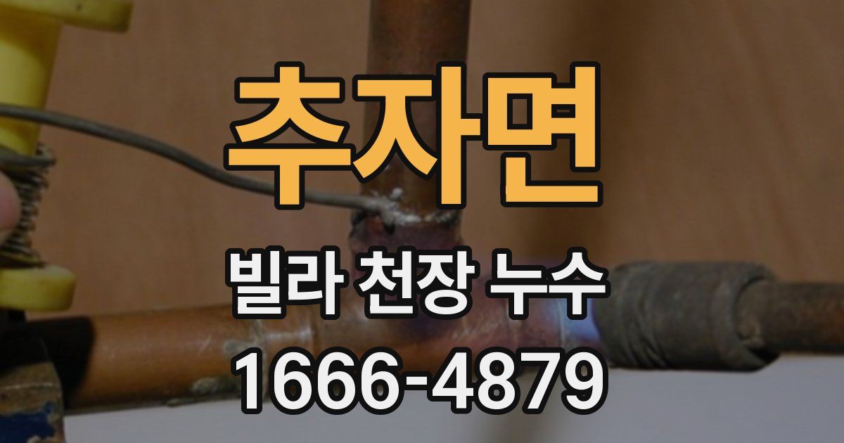 추자면 빌라 천장 누수