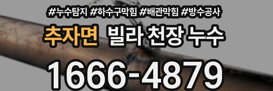 추자면 빌라 천장 누수