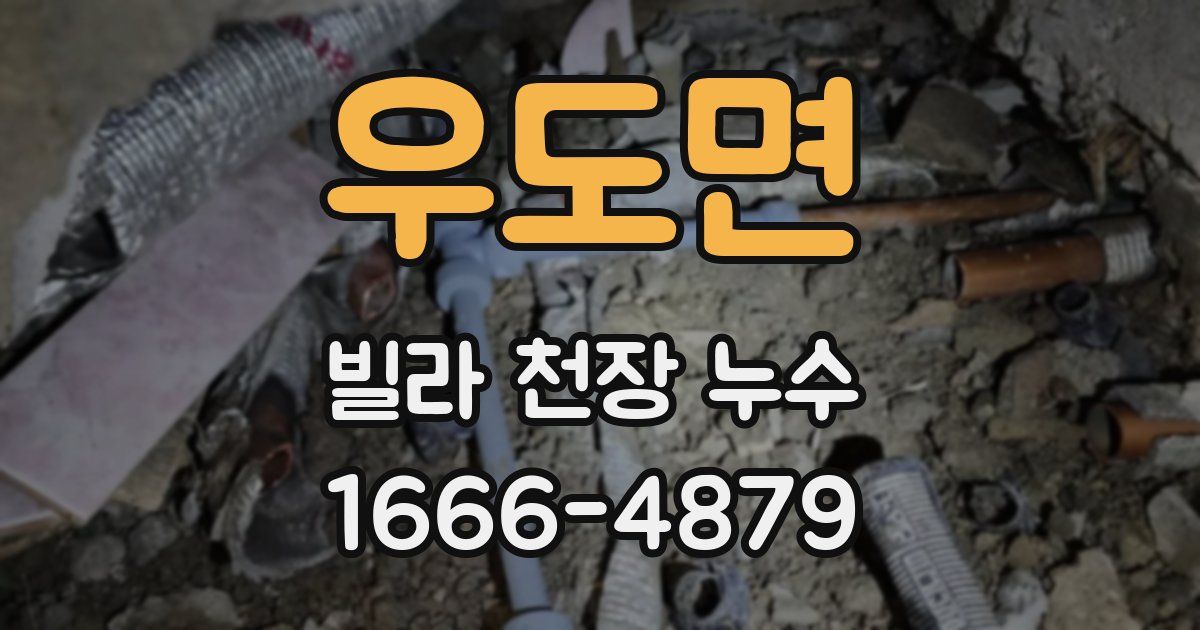 우도면 빌라 천장 누수
