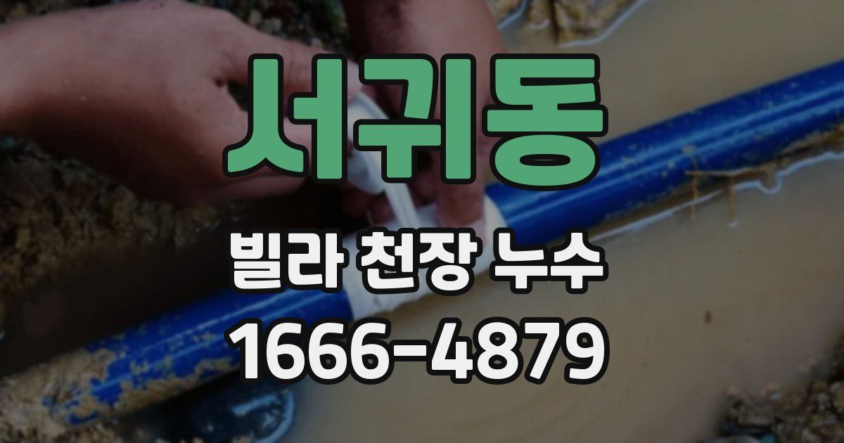 서귀동 빌라 천장 누수