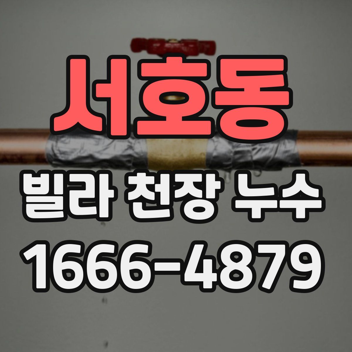 서호동 빌라 천장 누수