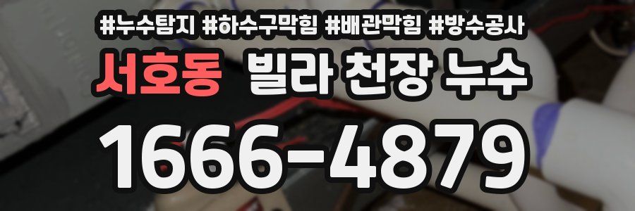 서호동 빌라 천장 누수