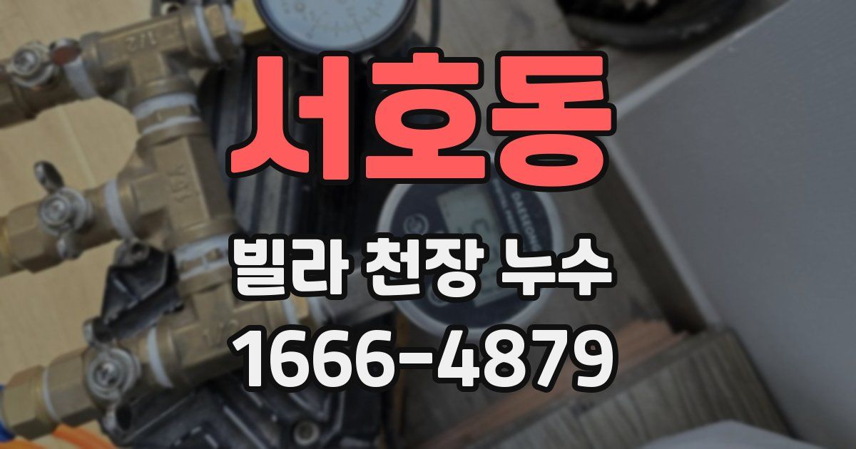 서호동 빌라 천장 누수
