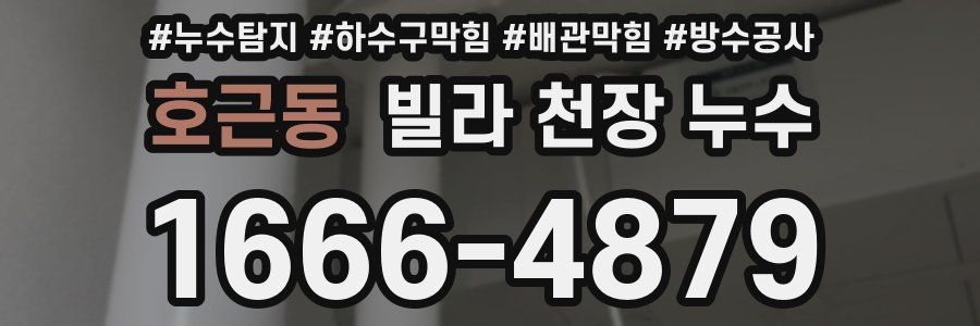 호근동 빌라 천장 누수