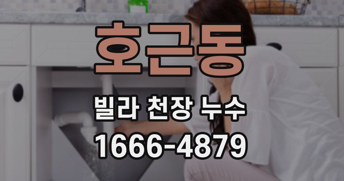 호근동 빌라 천장 누수